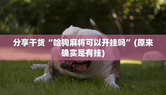 分享干货“哈狗麻将可以开挂吗”(原来确实是有挂) 分享干货“哈狗麻将可以开挂吗”(原来确实是有挂)