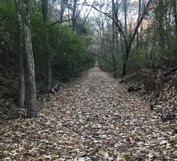 一分钟介绍微信斗牛大厅链接房卡-购买房卡介绍