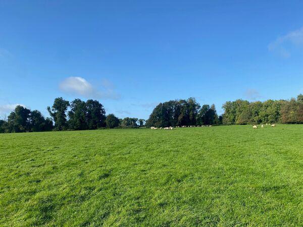 开挂辅助工具“闲娱江西棋牌有没有规律”其实确实有挂 开挂辅助工具“闲娱江西棋牌有没有规律”其实确实有挂