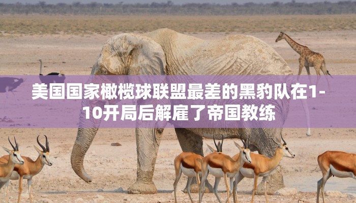 辅助神器“心悦麻将万能开挂免费版!专业师傅带你一起了解(确实有挂)