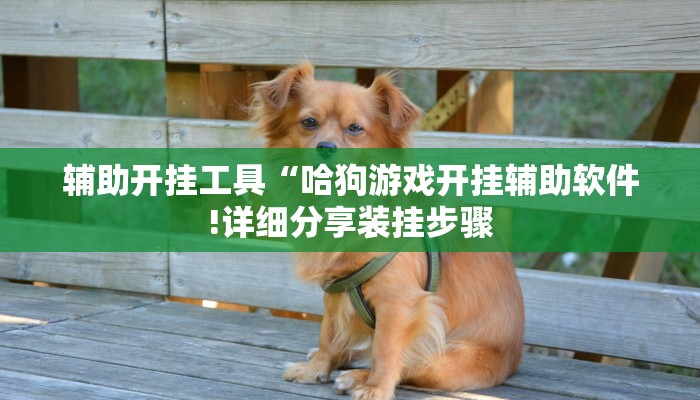 辅助神器“闲来贵州麻将开挂教程”其实确实有挂