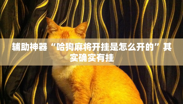 2分钟了解新道游大厅怎么买房卡-(详细分享开挂教程)