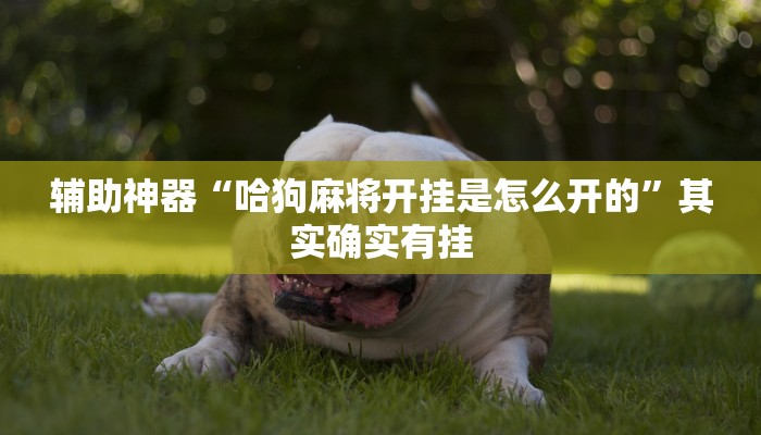 6分钟了解!新道游炸金花挂-获取房卡教程