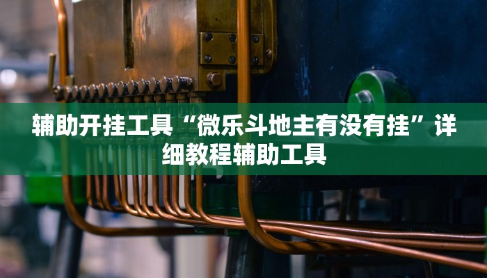 辅助开挂工具“微乐斗地主有没有挂”详细教程辅助工具