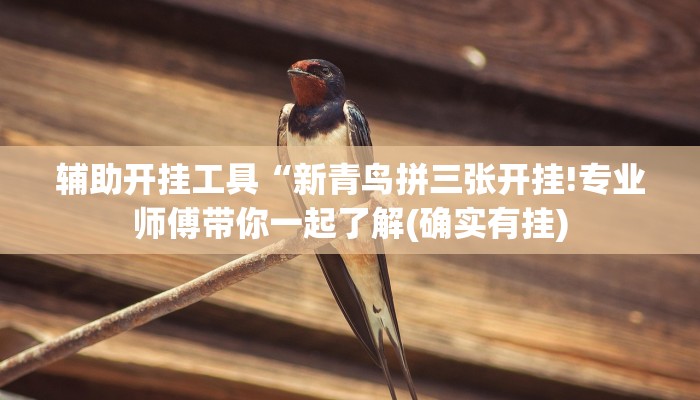 秒懂教程“金花房卡怎么充值”获取房卡方式