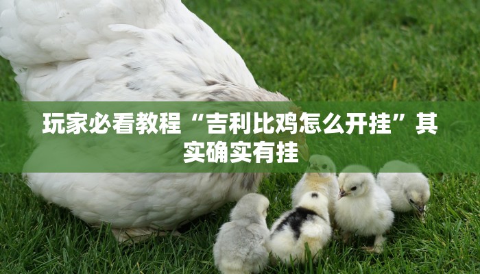 房卡攻略“新金龙大厅房卡”详细房卡教程 房卡攻略“新金龙大厅房卡”详细房卡教程