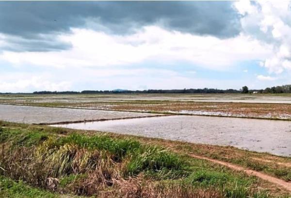 玩家注意aapoker透视辅助教程!揭秘开挂教程分享