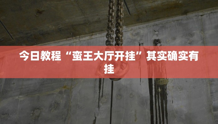 今日教程“蛮王大厅开挂”其实确实有挂