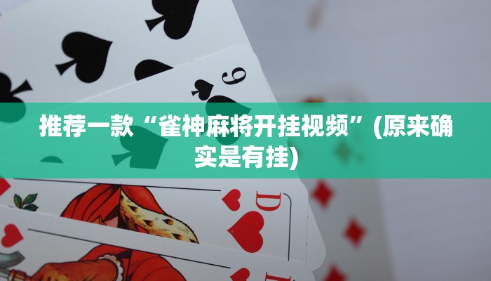 推荐一款“雀神麻将开挂视频”(原来确实是有挂)