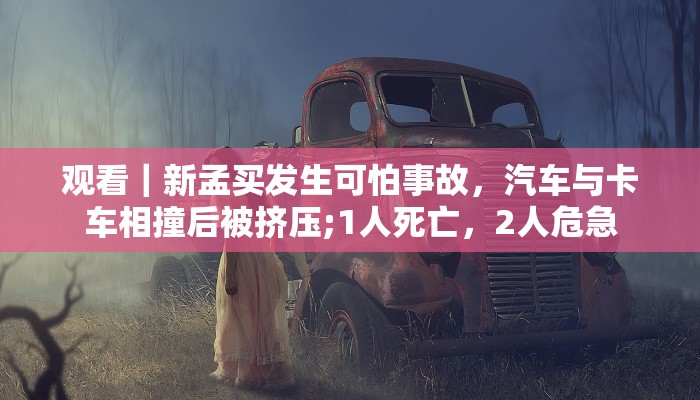 观看｜新孟买发生可怕事故，汽车与卡车相撞后被挤压;1人死亡，2人危急