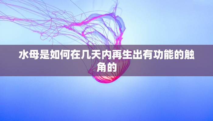 水母是如何在几天内再生出有功能的触角的 水母是如何在几天内再生出有功能的触角的