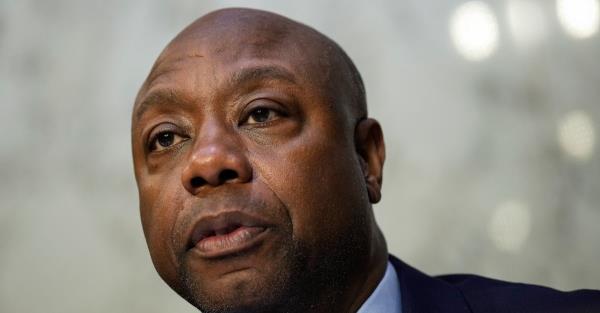 认知交融圈“微信群炸 金花房卡去哪里购买”详细房卡怎么购买教程推荐一款