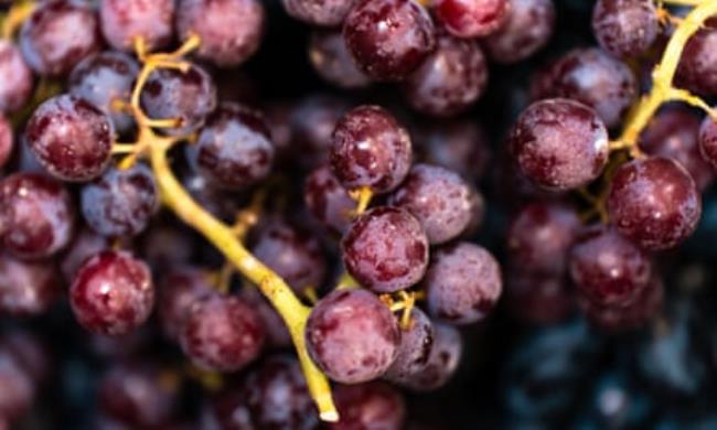 玩家攻略AAPoker可以开个挂透视吗！（辅助软件教程）知乎