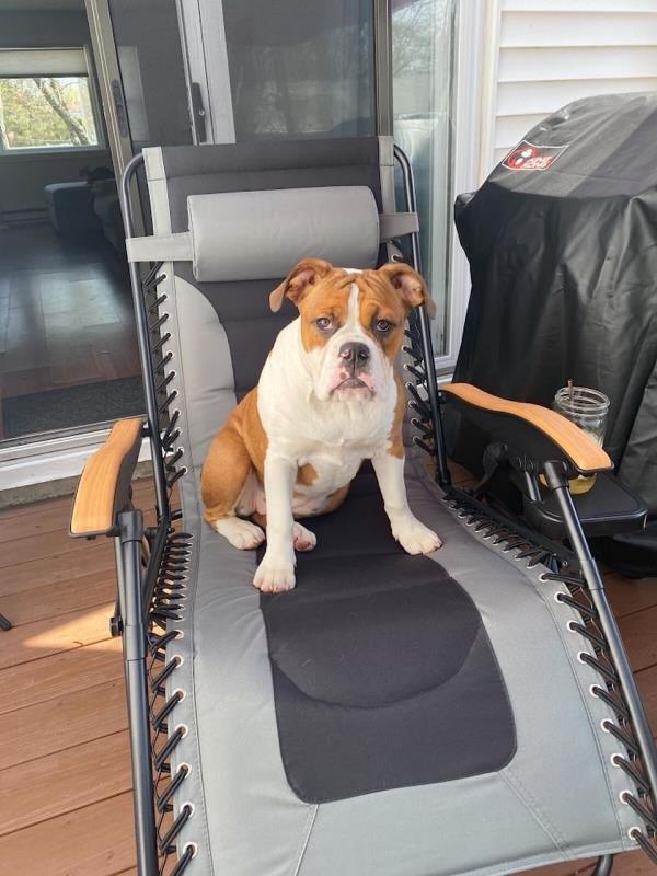 房卡一分钟“微信茄子链接大厅房卡
”房卡详细使用教程