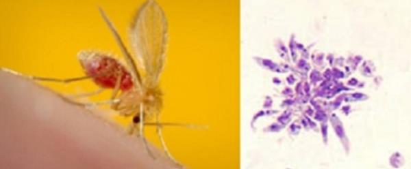 一分钟介绍“微信青龙大厅链接房卡透视”房卡详细使用教程 一分钟介绍“微信青龙大厅链接房卡透视”房卡详细使用教程