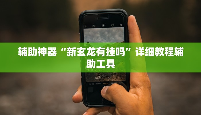 辅助神器“新玄龙有挂吗”详细教程辅助工具 辅助神器“新玄龙有挂吗”详细教程辅助工具