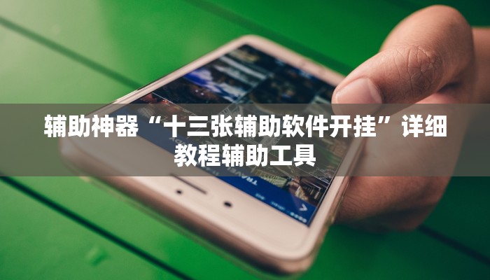 辅助神器“十三张辅助软件开挂”详细教程辅助工具 辅助神器“十三张辅助软件开挂”详细教程辅助工具