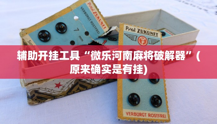 辅助开挂工具“微乐河南麻将破解器”(原来确实是有挂)