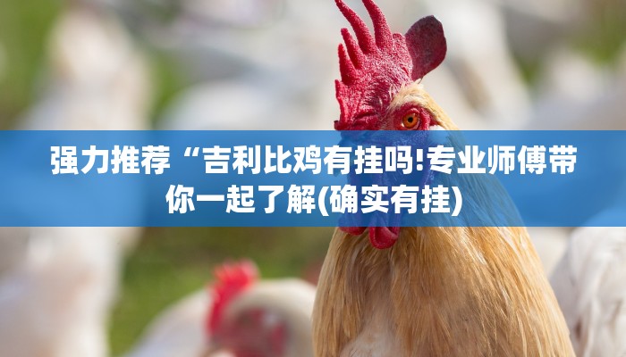 强力推荐“吉利比鸡有挂吗!专业师傅带你一起了解(确实有挂)