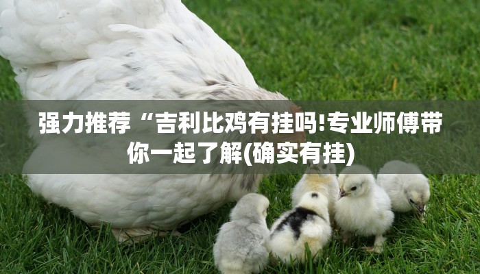 强力推荐“吉利比鸡有挂吗!专业师傅带你一起了解(确实有挂) 强力推荐“吉利比鸡有挂吗!专业师傅带你一起了解(确实有挂)