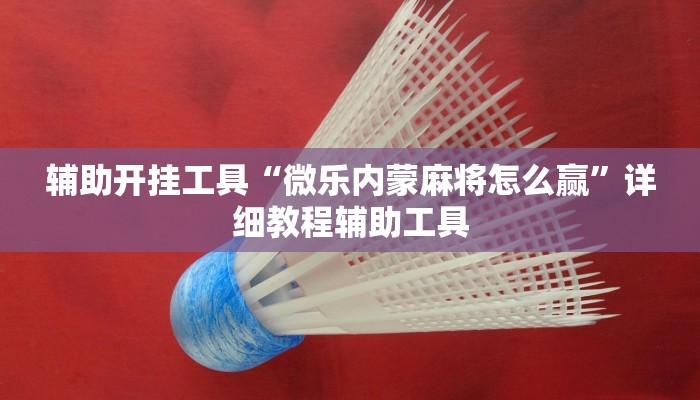 辅助开挂工具“微乐内蒙麻将怎么赢”详细教程辅助工具