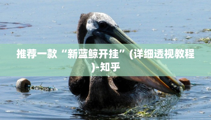 推荐一款“新蓝鲸开挂”(详细透视教程)-知乎