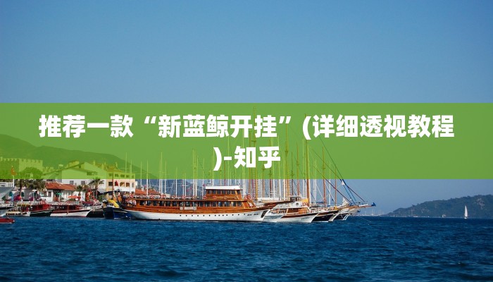 推荐一款“新蓝鲸开挂”(详细透视教程)-知乎 推荐一款“新蓝鲸开挂”(详细透视教程)-知乎