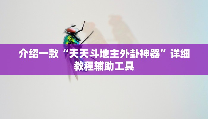 介绍一款“天天斗地主外卦神器”详细教程辅助工具