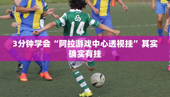 推荐一款”微乐河北麻将万能开挂器”分享用挂教程