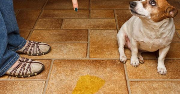 辅助神器“中至麻将破解器”开挂(透视)辅助教程 辅助神器“中至麻将破解器”开挂(透视)辅助教程