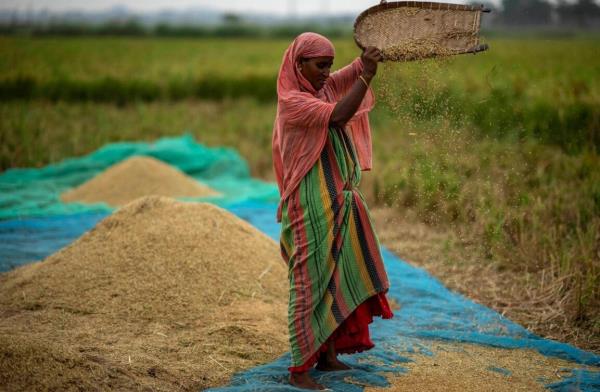 秒懂教程“新世界房卡多少钱”详细房卡教程
