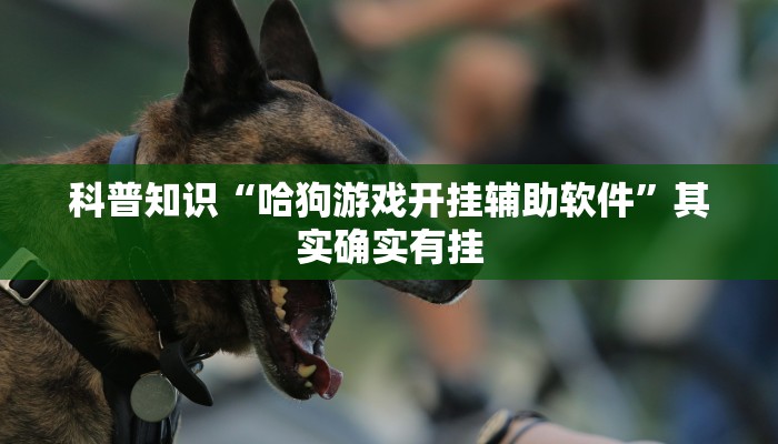 一分钟了解“新卡农拼三张房卡
”房卡详细使用教程 一分钟了解“新卡农拼三张房卡
”房卡详细使用教程