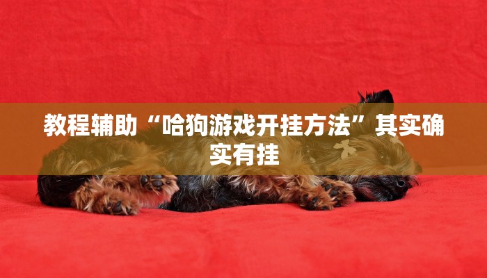 开挂辅助工具“天天微友有挂吗”详细开挂玩法