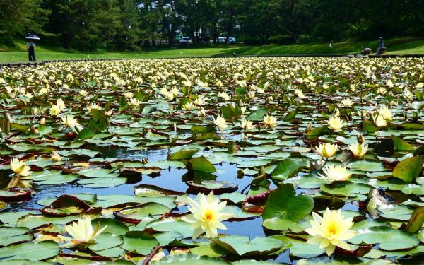 房卡一分钟“微信链接炸金花房卡”详细房卡教程 房卡一分钟“微信链接炸金花房卡”详细房卡教程