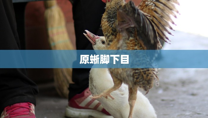 可用版本“打牌网有开挂的吗”详细开挂玩法 可用版本“打牌网有开挂的吗”详细开挂玩法