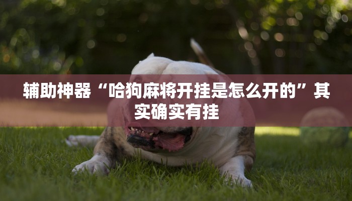 房卡一分钟“新金龙大厅怎么买房卡”详细房卡教程