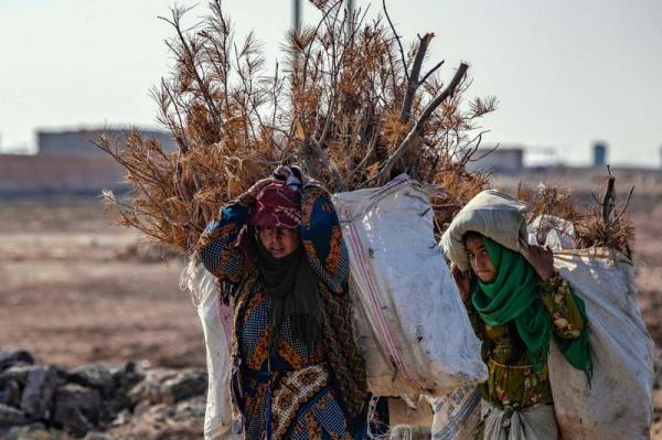 全渠道了解“微信牛牛哪里买房卡”详细步骤