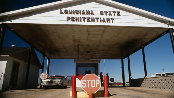 最新教你“白金岛红拐弯有没有挂”(原来确实是有挂)