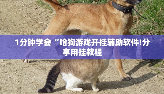 实测辅助“微乐广西麻将怎么打才会赢呢”开挂(透视)辅助教程 实测辅助“微乐广西麻将怎么打才会赢呢”开挂(透视)辅助教程