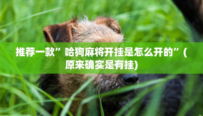 在这台爱普生家庭影院4K PRO-UHD激光投影仪上节省1200美元 在这台爱普生家庭影院4K PRO-UHD激光投影仪上节省1200美元