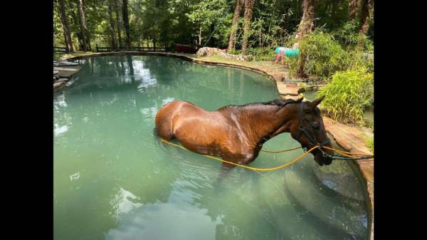 实测经验““aapoker开挂透视辅助”开挂详细教程