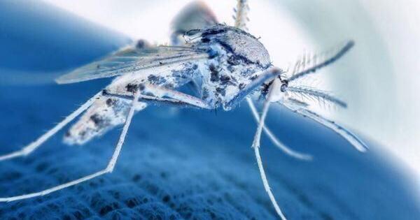 秒懂教程“战神房卡有盗版吗”获取房卡方式