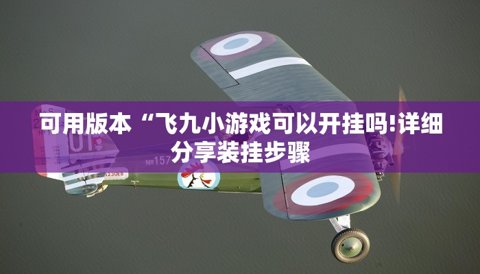 可用版本“飞九小游戏可以开挂吗!详细分享装挂步骤