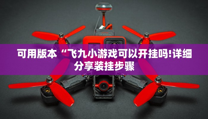 可用版本“飞九小游戏可以开挂吗!详细分享装挂步骤