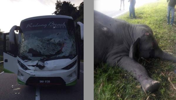 玩家必看“牛牛金花房卡拼三张房间链接”详细房卡教程