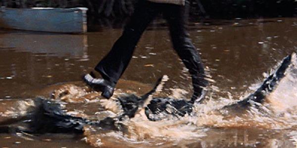 罗杰·摩尔在詹姆斯·邦德电影中愚蠢的鳄鱼场景得到了动物专家的高分