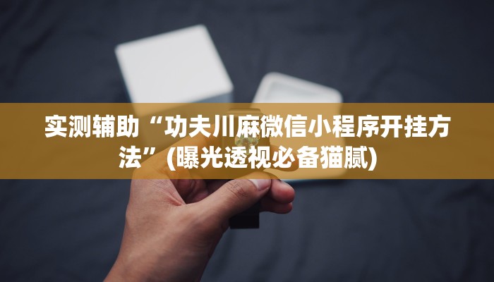 可用版本“微乐宁夏开挂下载安装”其实确实有挂 可用版本“微乐宁夏开挂下载安装”其实确实有挂