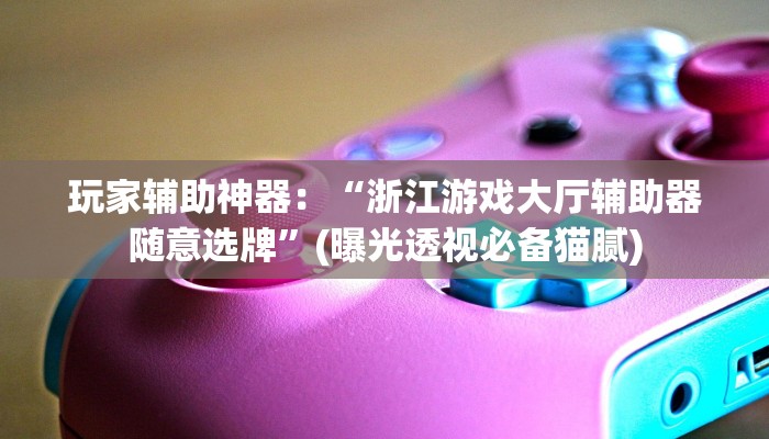 玩家辅助神器：“同城跑胡子永州包牌作弊!详细分享装挂步骤_2