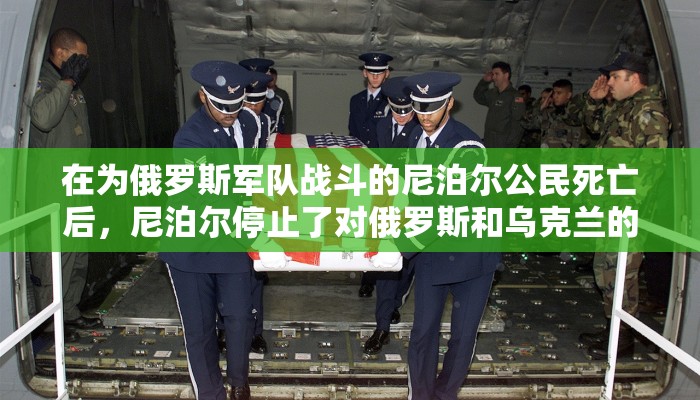 推荐一款”多乐跑胡子辅助器”其实确实有挂