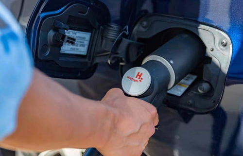 全渠道了解“金花房卡怎么弄”详细步骤